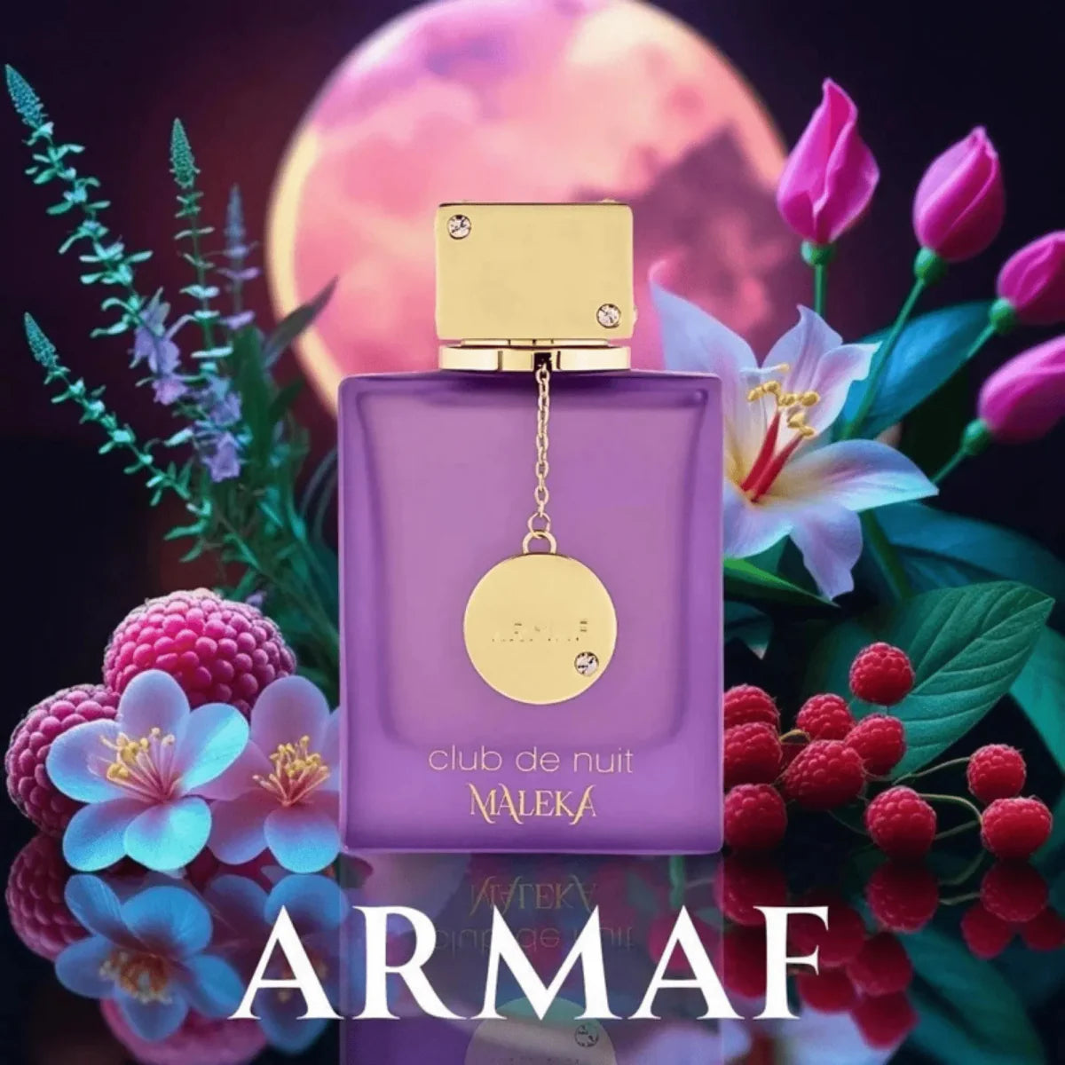 Armaf Club De Nuit Maleka Fragrance 3.4 oz 6295199801116