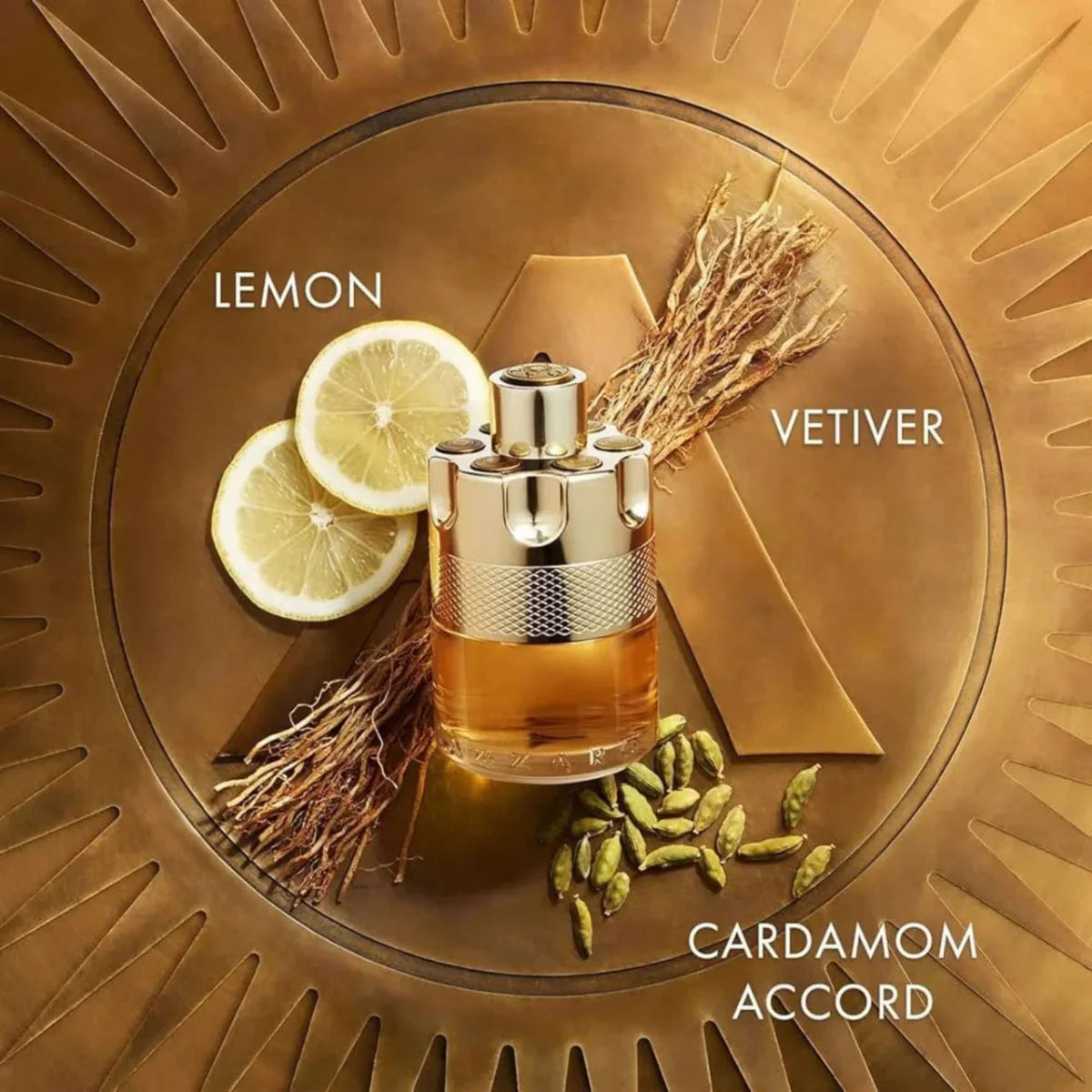 Azzaro Wanted Fragrance 3.4 oz 3351500016617