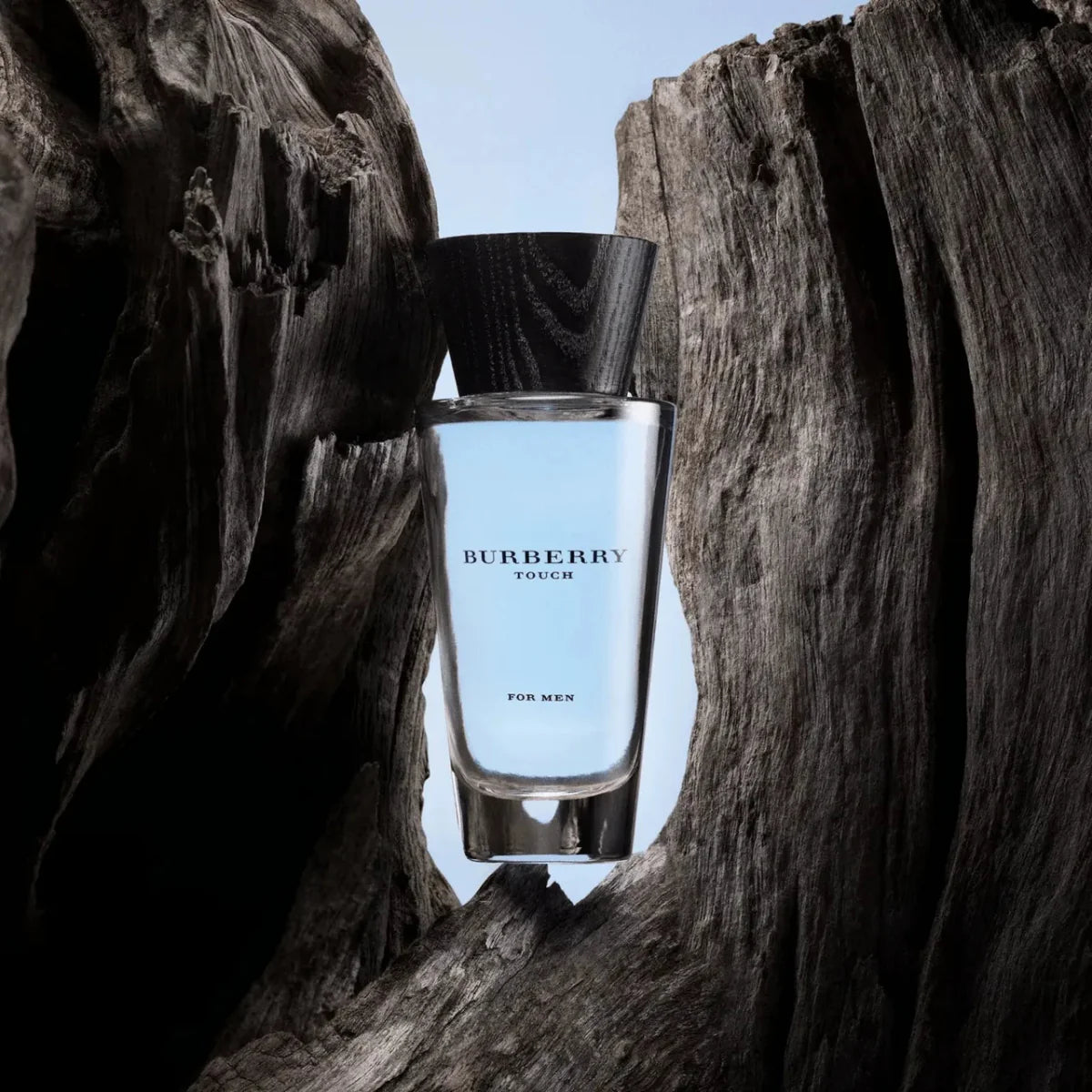 Burberry Touch Fragrance 3.3 oz 3614227748682