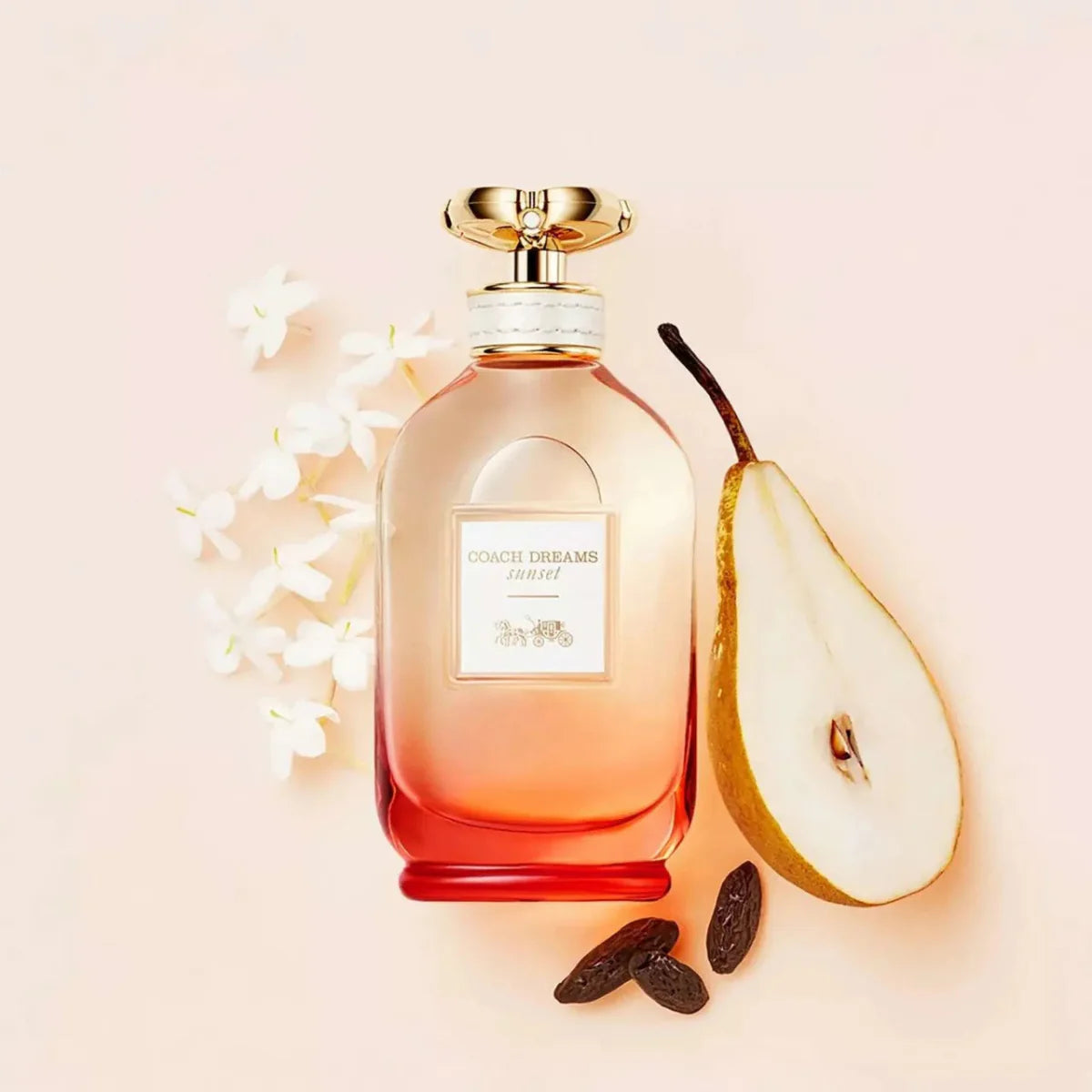 Coach Dream Sunset Fragrance 3.0 oz 3386460123501