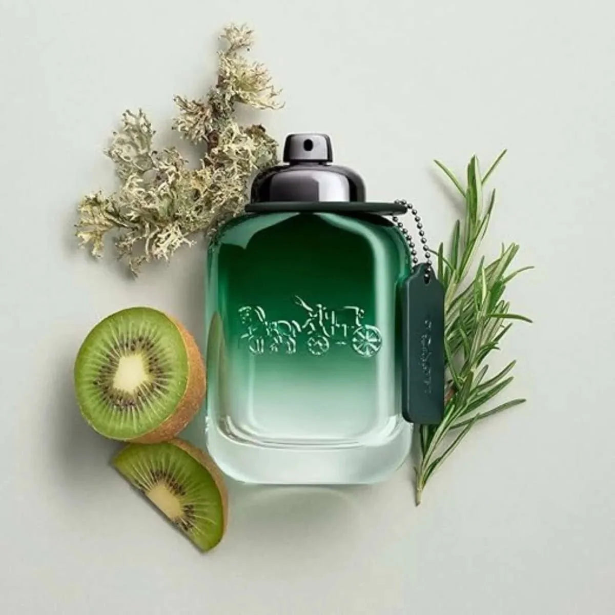 Coach Green Fragrance 3.3 oz 3386460141253