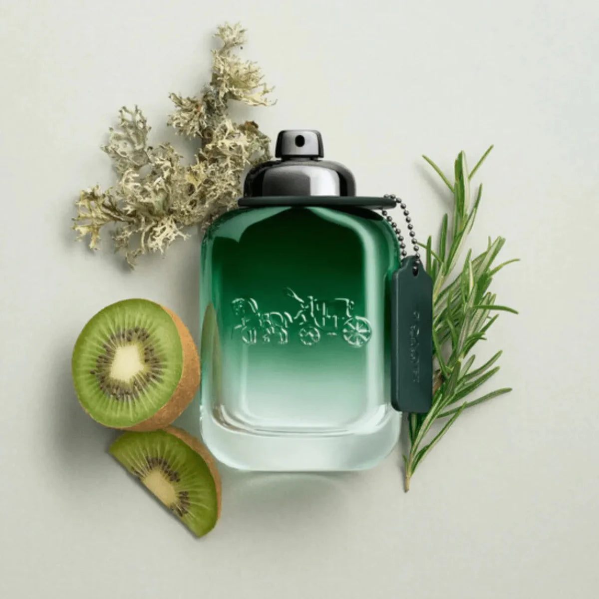 Coach Green Gift Set Set 1 3386460141758
