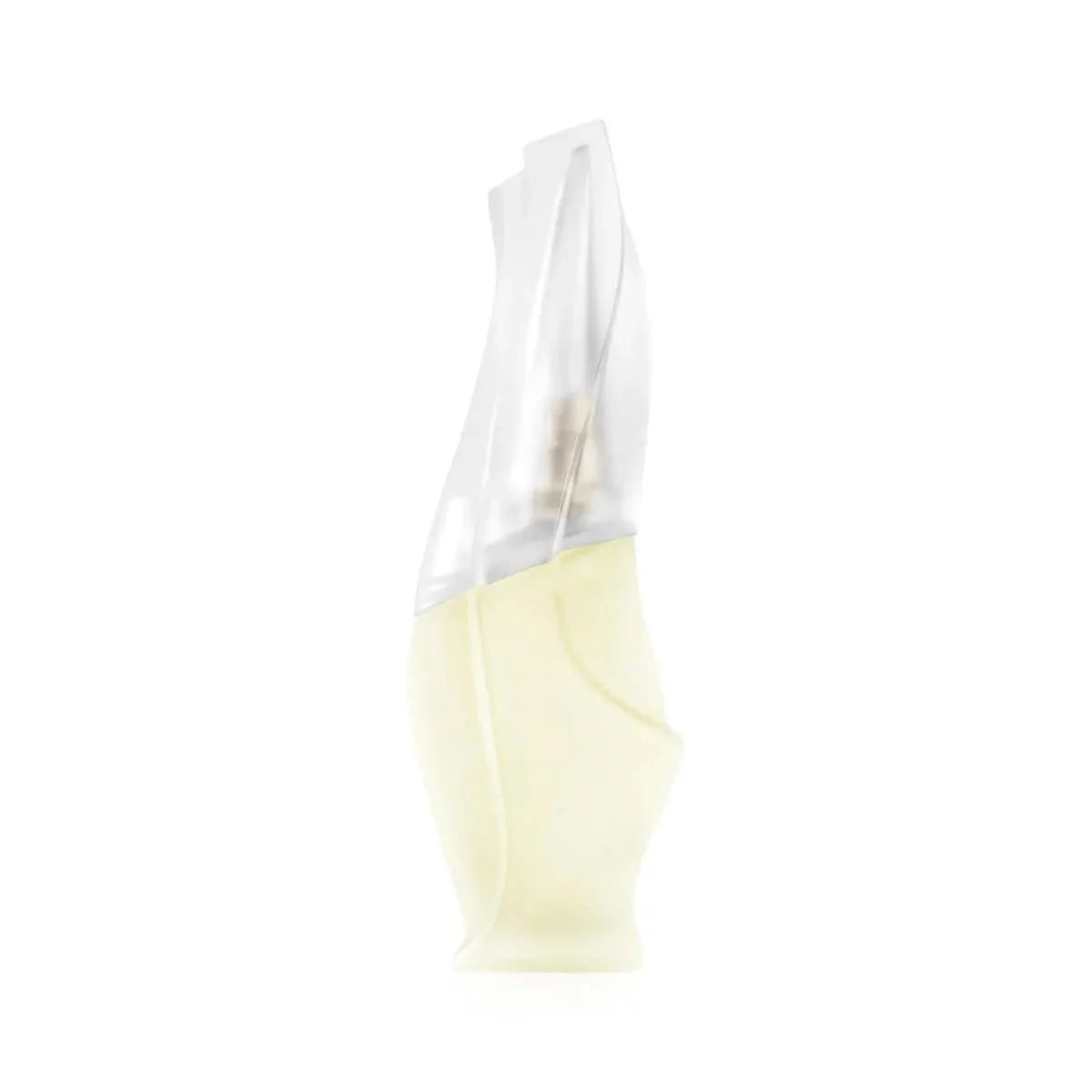 Dkny Cashmere Mist Fragrance 3.4 oz 763511099733