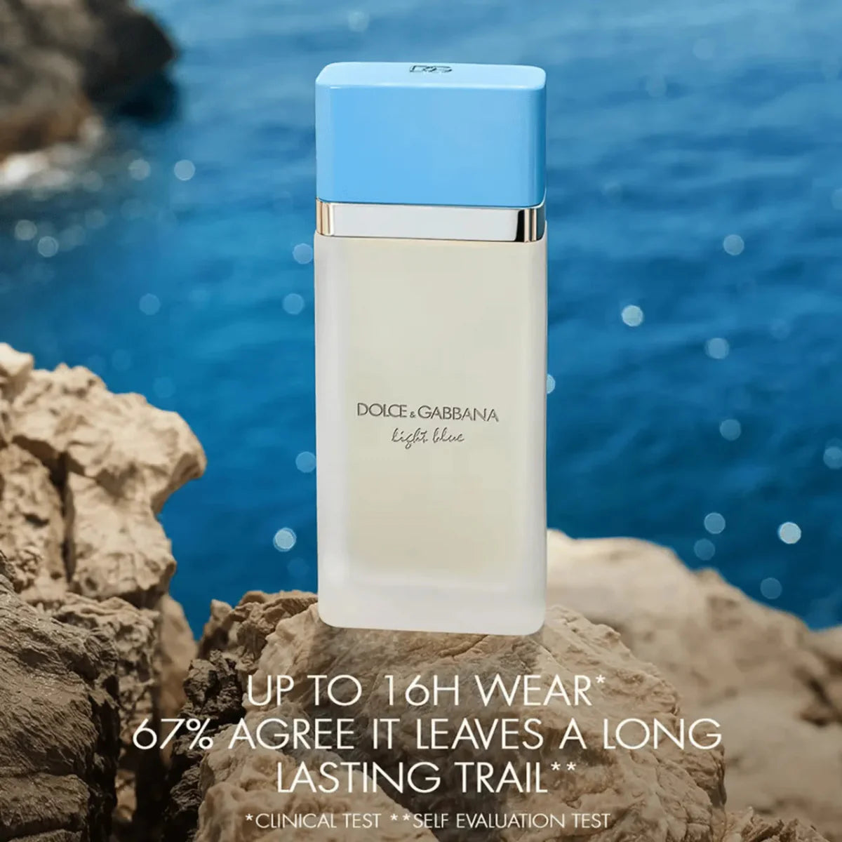 Dolce & Gabbana Light Blue Fragrance 3.3 oz 8057971180318