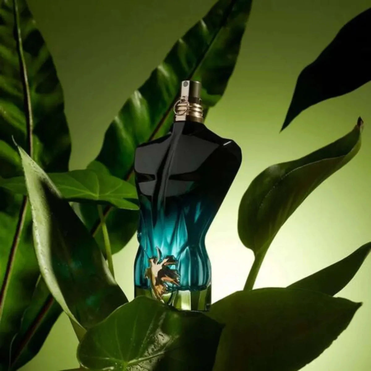 Jean Paul Gaultier Le Beau Le Parfum Fragrance 4.2 oz 8435415062190