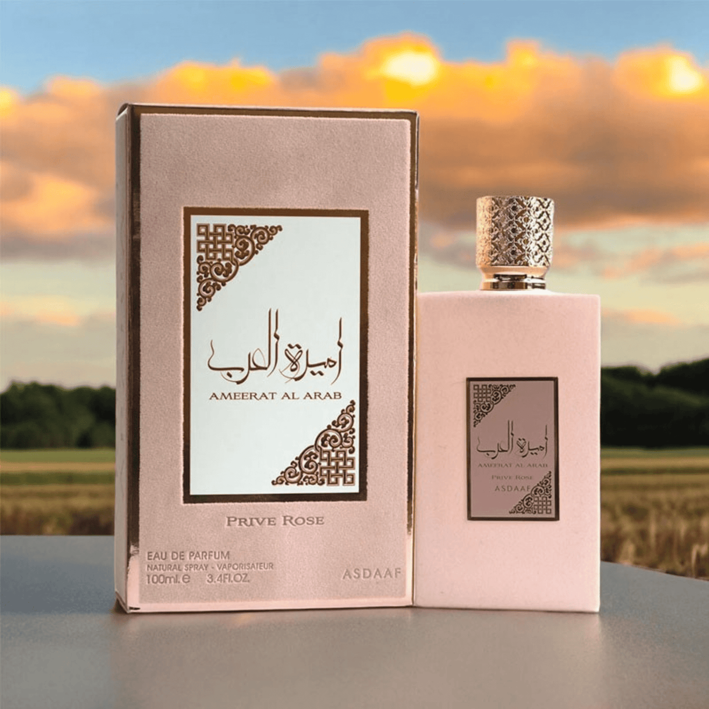Lattafa Ameerat Al Arab Prive Rose Fragrance 3.4 oz 6290360590868