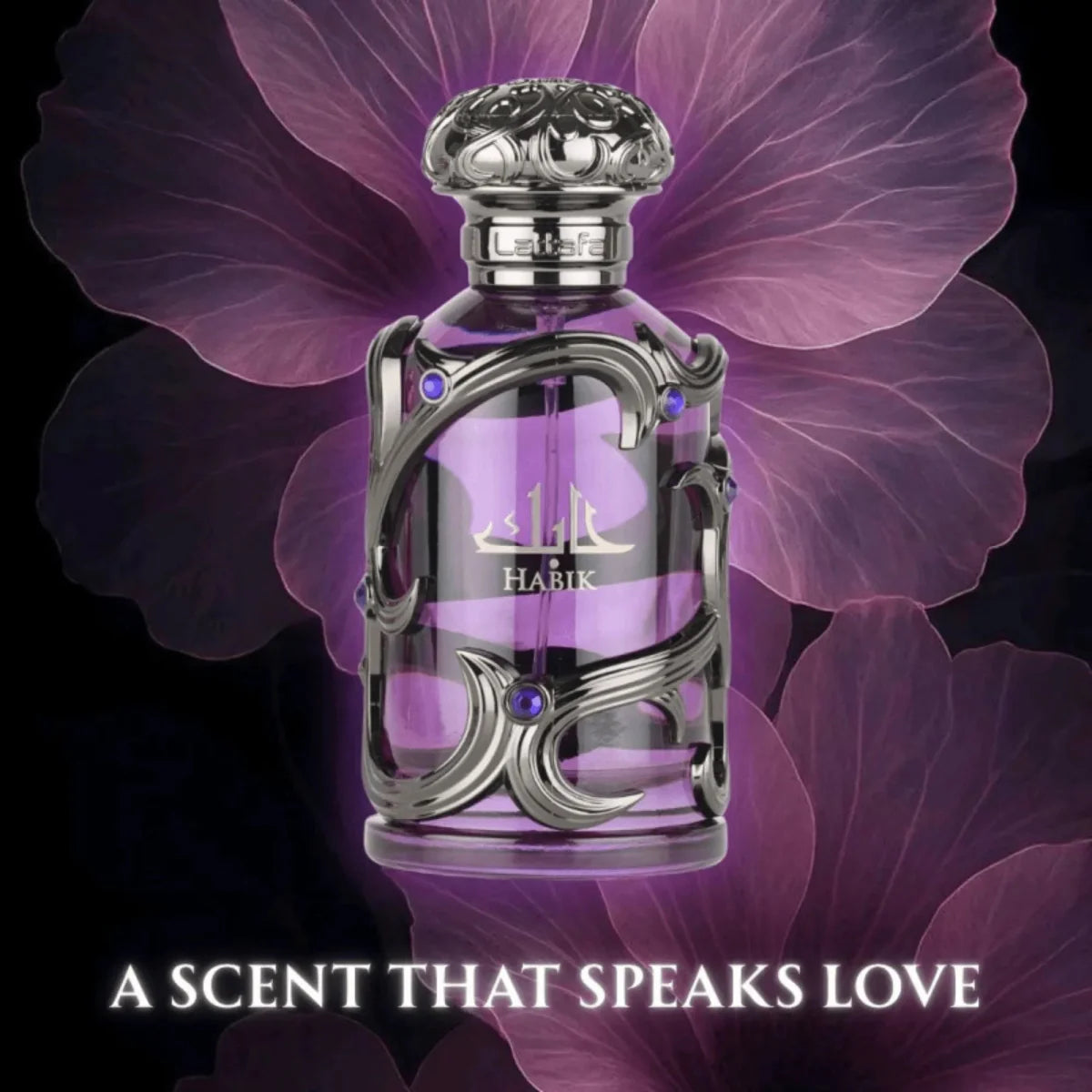 Lattafa Habik Fragrance 3.4 oz 6290360598864