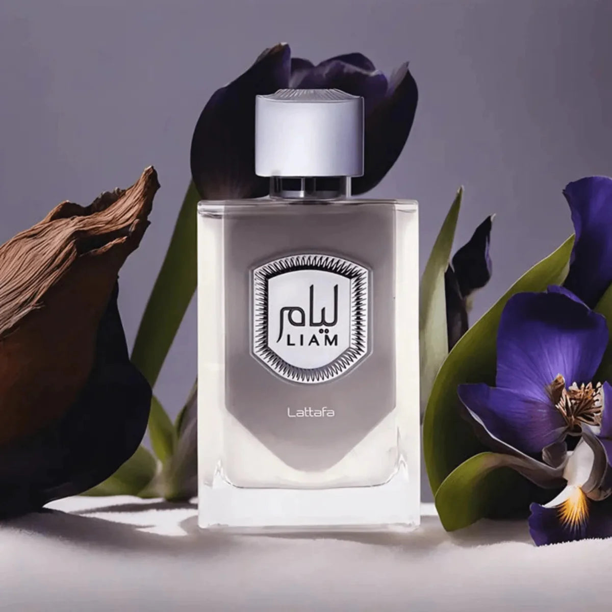 Lattafa Liam Grey Fragrance 3.4 oz 6290360591537