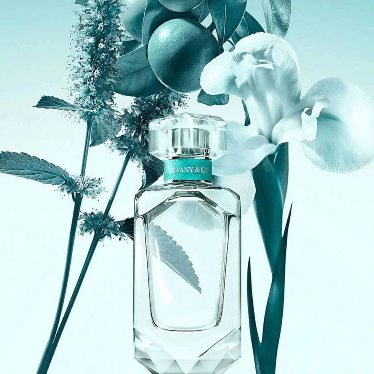 Tiffany & Co. Sheer Fragrance 2.5 oz 3614226969613