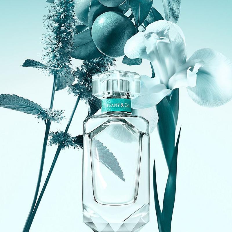 Tiffany & Co. Tiffany Gift Set Set 1 3616304961106