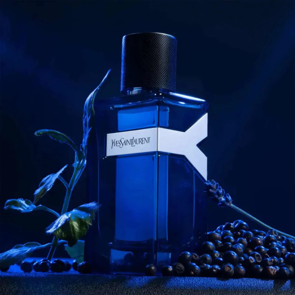 Yves Saint Laurent Y Fragrance 3.3 oz 3614272050358